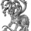 Hydra
